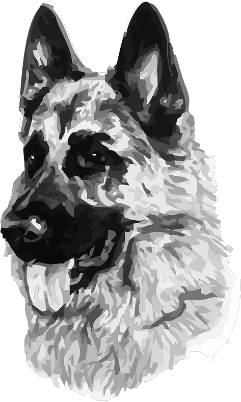 German Shepherd Clipart Clipartworld German Shepherd Sketch Png German Shepard Puppy Icon