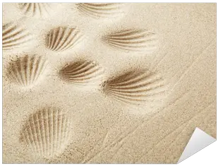 Sandy Beach Background For Summer Mat Png Sand Texture Png