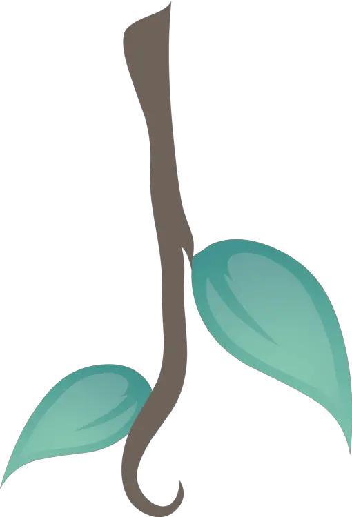 Liana Leafs Plant Free Vector Graphic On Pixabay Lianas Clipart Png Leafs Png