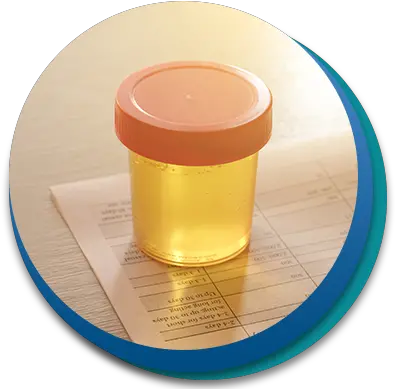 Peace Of Mind Drug Testing Services Same Day Drug Testing Lid Png Drug Test Icon