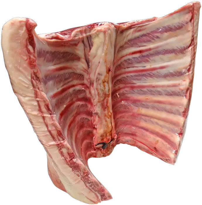 Meat Sheep Png 4 Image