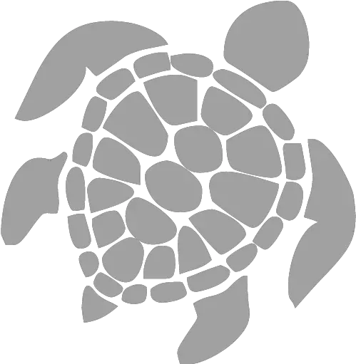 Turtle Icons Sea Turtle Pattern Png Turtle Transparent