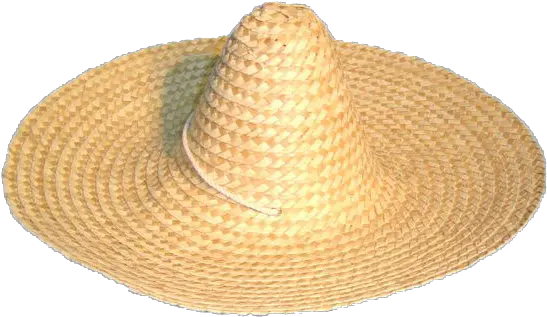 Sombrero Png Transparent Images All Straw Sombrero Mexican Hat Png