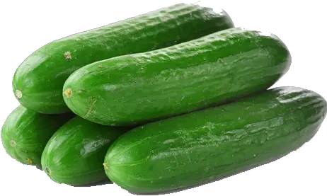 Download Cucumbers Png File Green Cucumber Hd Cucumber Transparent