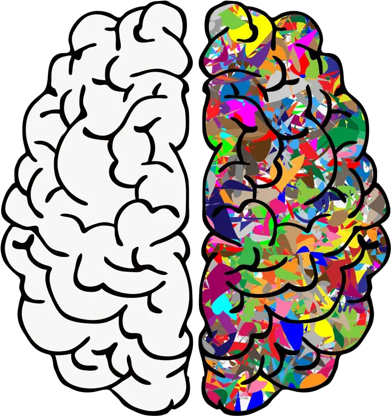 Art Brain Png Transparent Image Brain Png Transparent Brain Transparent Png