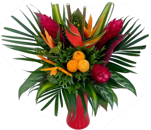 Tropical Flowers Arrangements Fresh Png Tropical Flower Png