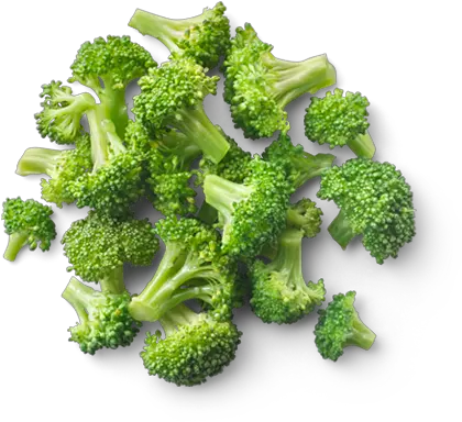 Broccoli Png Broccoli Florets Broccoli Png