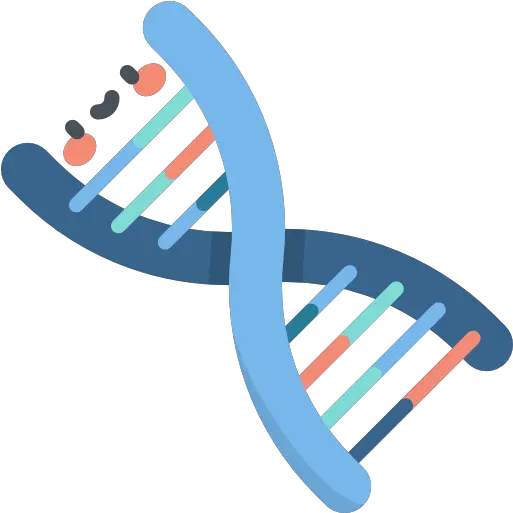 Dna Dna Png Dna Png