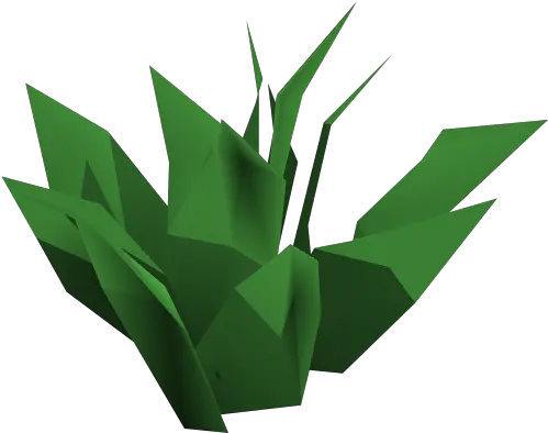 Green Herb Runescape Wiki Fandom Folding Png Herb Png