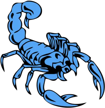 Scorpion Tattoos Free Png Transparent Scorpion Tattoo Scorpion Png