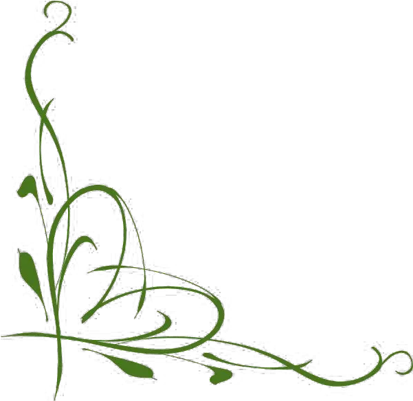 Jungle Vines Png Transparent Images Green Vine Clipart Vines Transparent