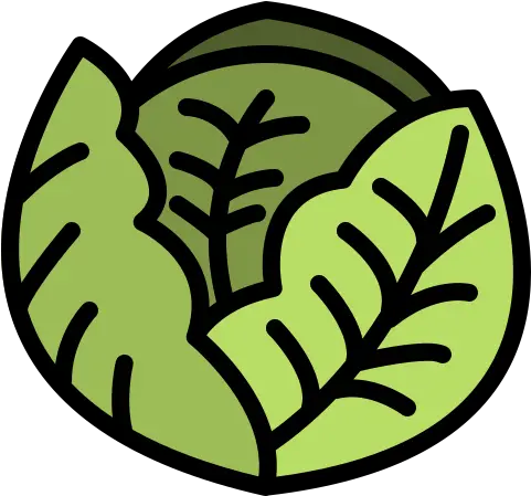 Cabbage Free Nature Icons Png Cabbage Icon