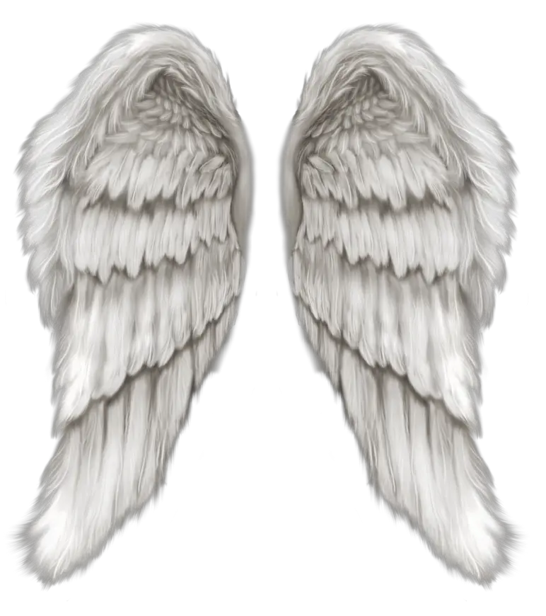 Realistic Angel Wings Png Wing Angel Wings Png Angel Halo Png