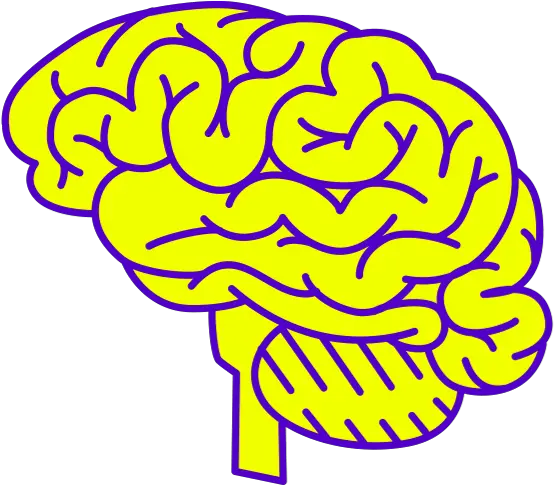 Drawing Of A Brain Yellow Brain Full Size Png Download Brain Optical Illusions Art Brain Png