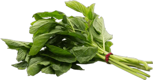 Download Herb Png Image With No Callaloo Herb Png