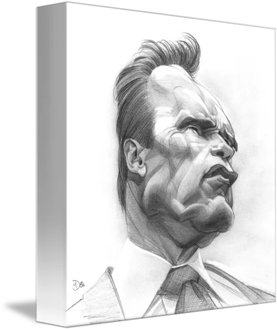 Arnold Schwarzenegger By Patrick Dea Sketch Png Arnold Schwarzenegger Transparent