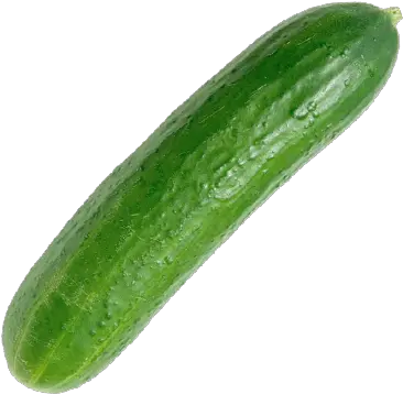 Cucumber English Zucchini Png Cucumber Transparent