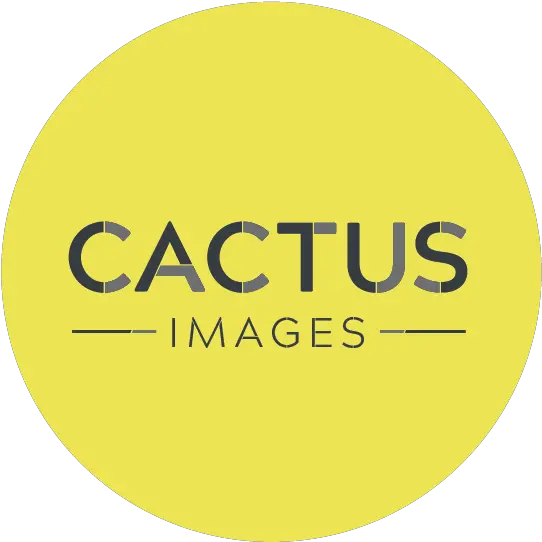 Cactus Images U2014 Marketing Derby Circle Png Cactus Logo