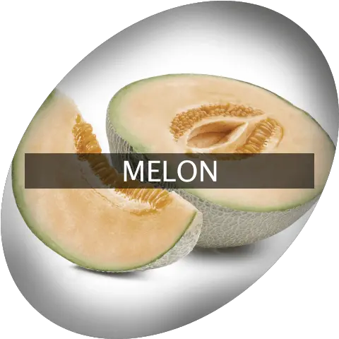 Melon Indigrowcom Honeydew Png Melon Png