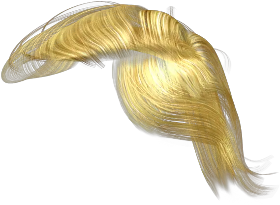 Trump Hair Png 5 Image Donald Trump Hair Png Donald Trump Hair Png