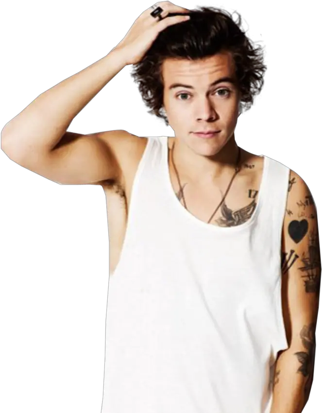 Download Harry Styles Transparent Png Harry Styles 2013 Harry Styles 2013 Png Harry Icon