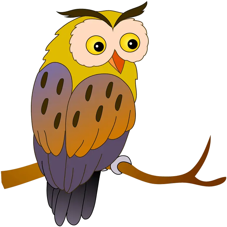 Owl Clipart Imagenes De Lechuza Animados Png Owl Clipart Png