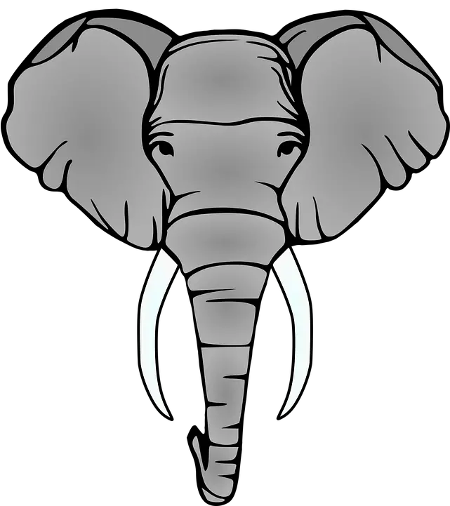 Elephant Head Tusks Big Png Elephant Head Png