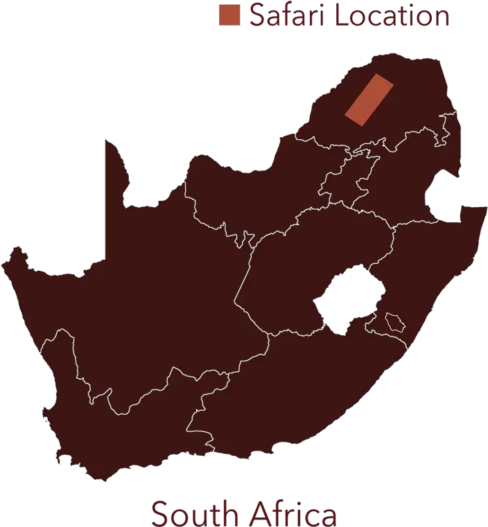 Download South Africa Map Location Map Of South Africa Vector Png Africa Map Png