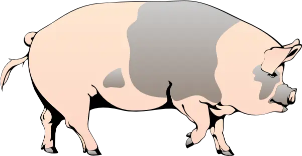 Pig Walking Clip Art Vector Clip Art Online Pig Walking Clipart Png Hog Png