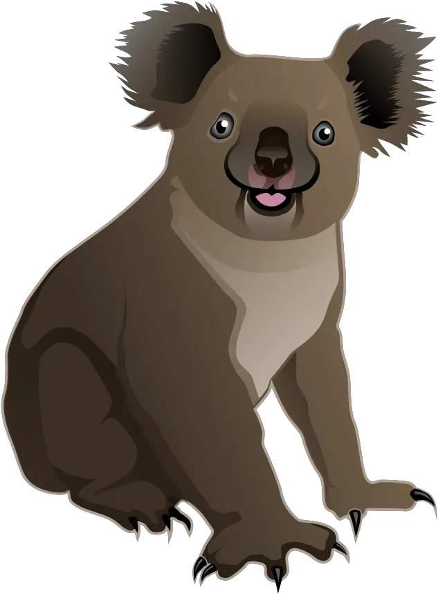 Koala Clipart Animated Transparent Free For Transparent Background Koala Clipart Png K Png