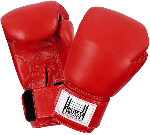 Boxing Gloves Transparent Png Boxing Glove Png Transparent Boxing Gloves Png