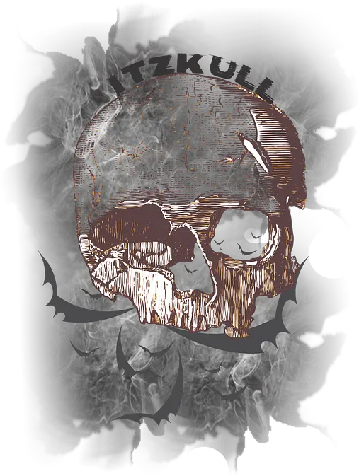 Caveira Sombrio Sombra Imagens Grátis No Pixabay Skull Png Sombra Skull Png