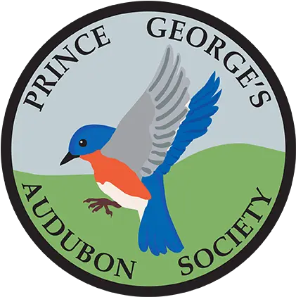 News Prince Georges Audubon Society Png Forest Service Avian Icon