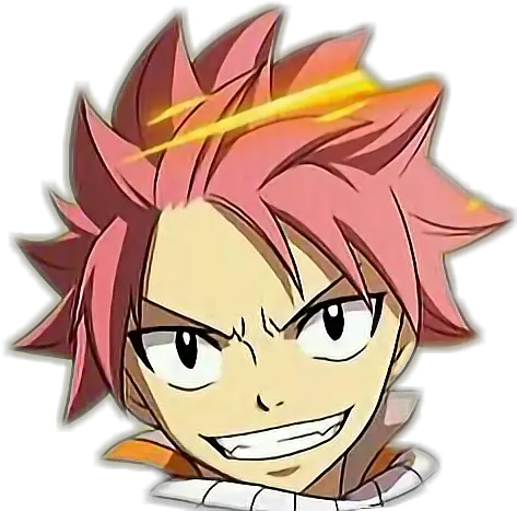 Download Natsu Dragneel Fairy Tail Natsu Head Png Natsu Dragneel Png