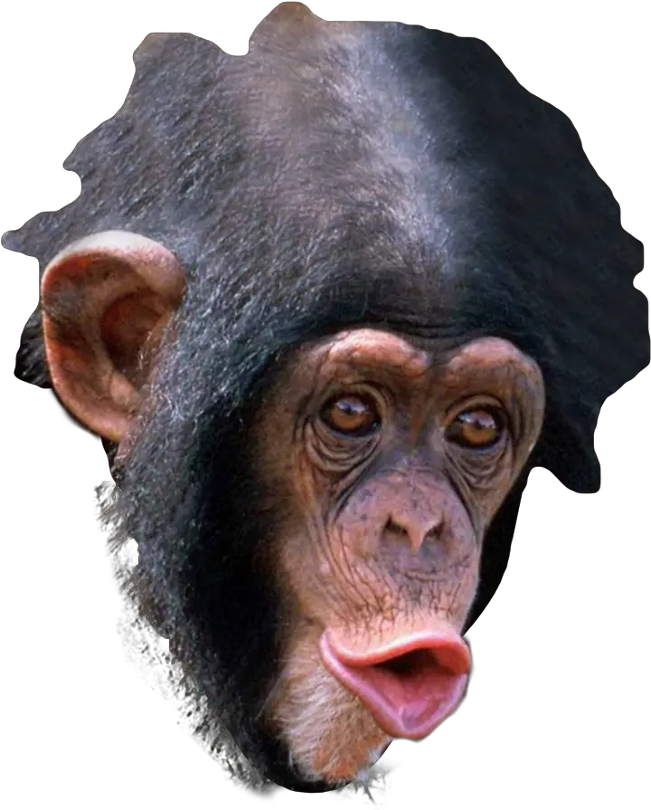 Trihard Emote Transparent Png Trihard Emotes Trihard Png