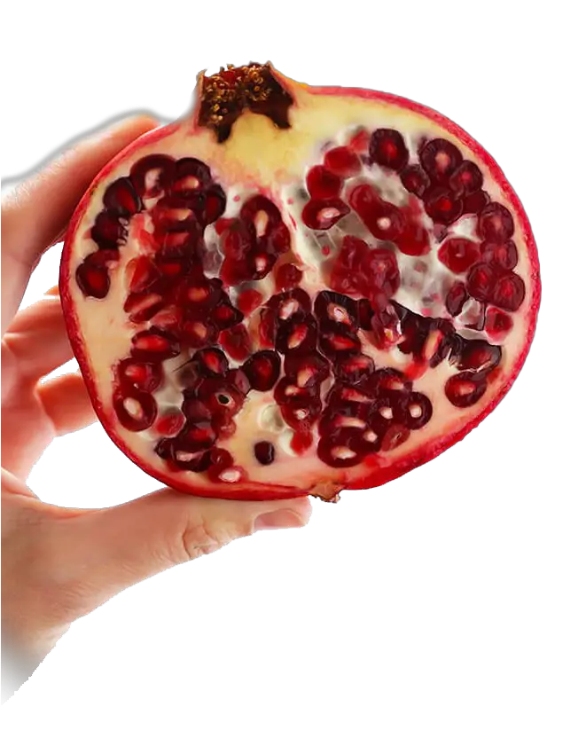 Pomegranate Transparent Free Png Open Pomegranate Pomegranate Transparent