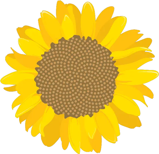 Download Girasol University Of Costa Rica Png Girasol Png