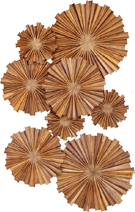 Teak Wall Art Transparent Wall Hanging Png Wall Art Png