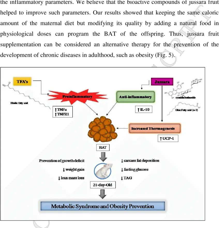 Tfas Supplementation And With Jussara 05 Freeze Dried Screenshot Png Offspring Logo