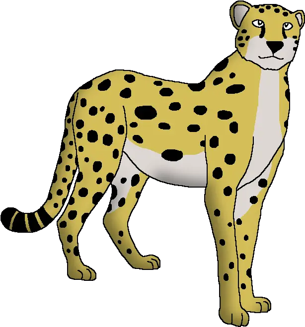 Tanzanian Cheetah Tanzanian Cheetah Fur Png Cheetah Png