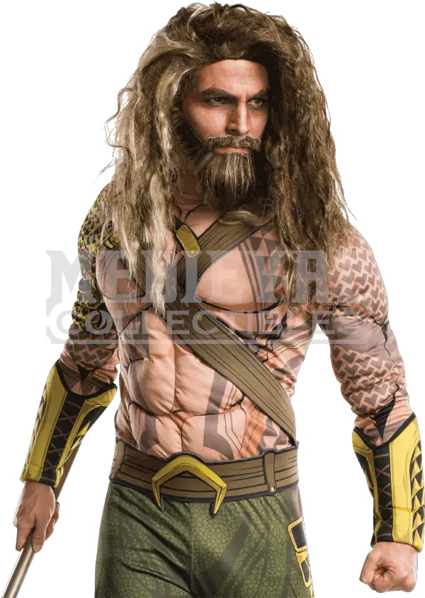 Download Hd Adult Aquaman Beard And Wig Set Aquaman Costume Aquaman Png Aquaman Png