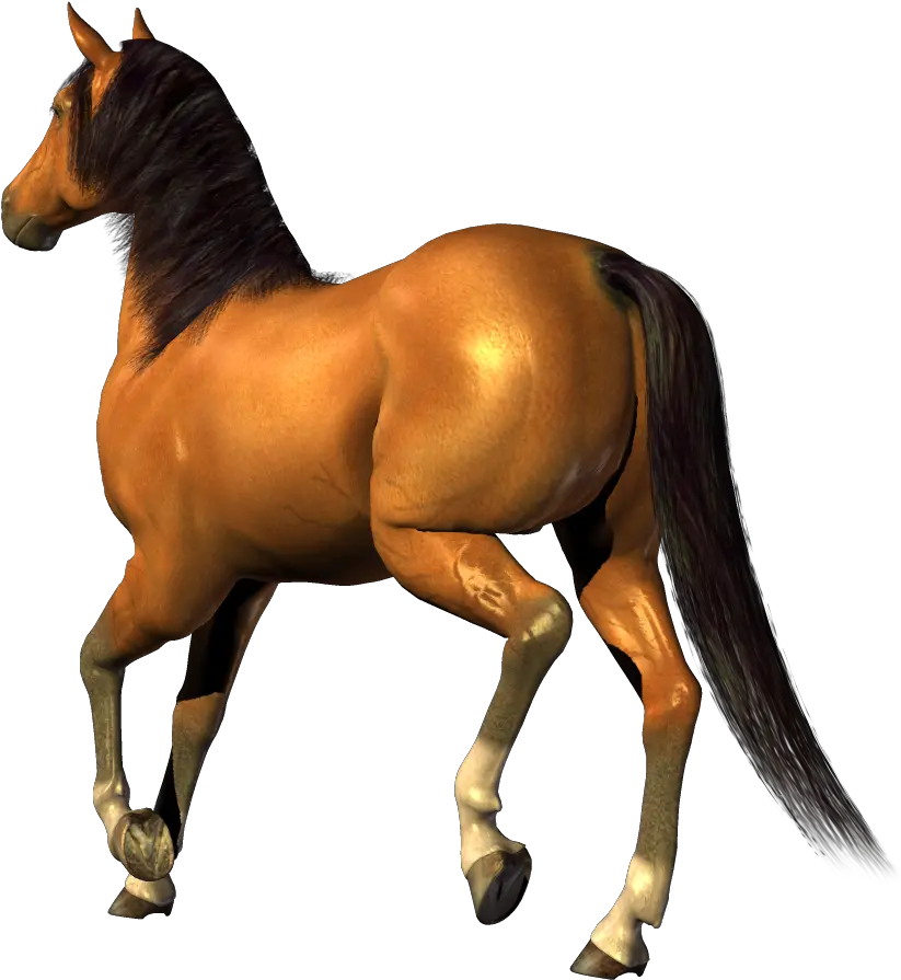 Horse In Png Transparent Background Horse Gif Horse Running Png