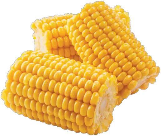 Corn Cob Corn On The Cob Cut Png Corn On The Cob Png