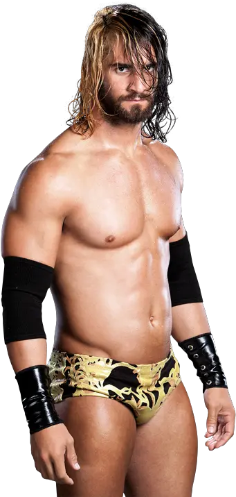 Download Seth Rollins Png Hq Image Wwe Seth Rollins Nxt Seth Rollins Transparent