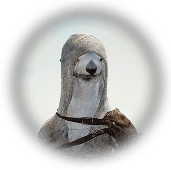 Ario Bdo Codex Sea Otter Png Sea Lion Icon