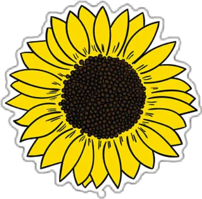 Sun Clipart Images Png Tumblr 50 Photos Sunflower Png Watercolor Sunflower Png