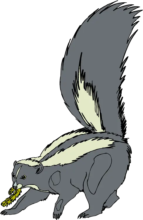 Skunk Painting Transparent Png Skunk Painting Transparent Png Skunk Transparent