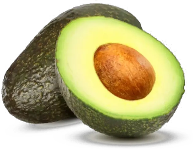 Avocado Transparent Free Png Avocado Transparent Png Avocado Transparent