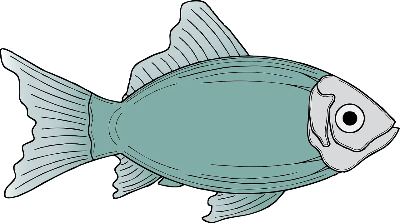 Fish Head Png