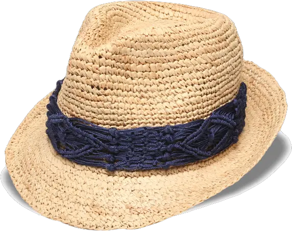 Fedora Hat Beach Hat Png Fedora Transparent